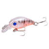 Minnow Fishing Lure