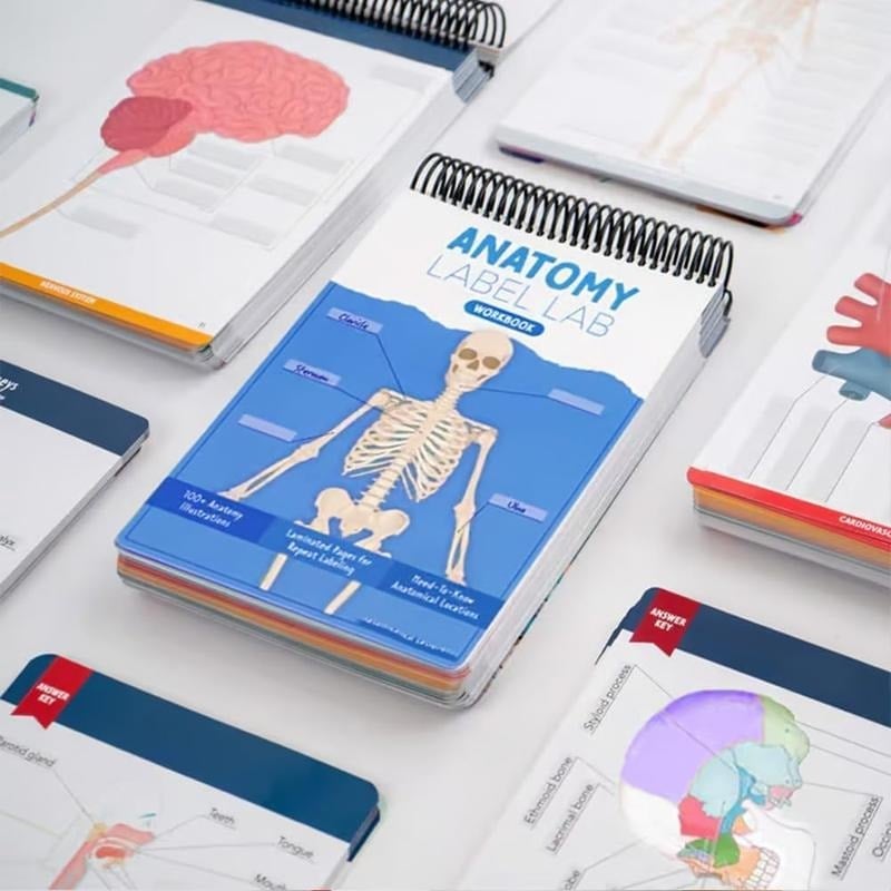🔥Last Day 50% OFF - Anatomy Label Workbook 📘