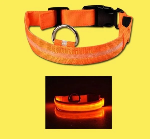 Last Day Promotion 48% OFF - LED Dog Collar(Buy 4 Get 20% OFF&Free Shipping)