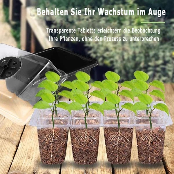 🔥Samen-Startertabletts mit Wachstumslicht