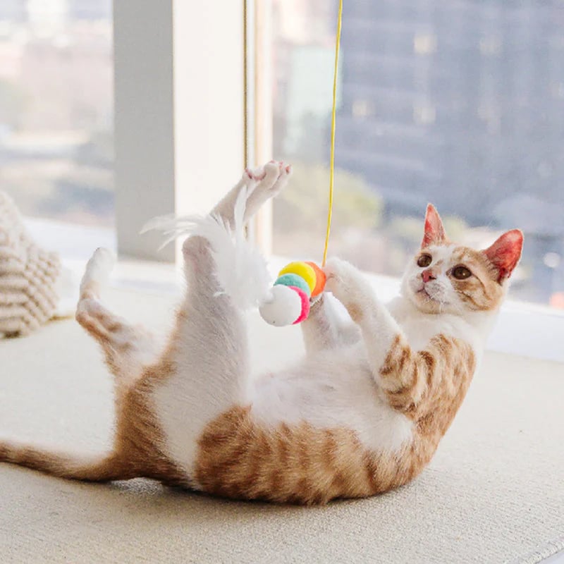 💥LAST DAY SALE 50% OFF💥Hanging Bouncing Cats Toy⚡BUY 1 GET 1 FREE