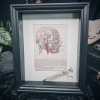 Lobotomy Shadowbox Display