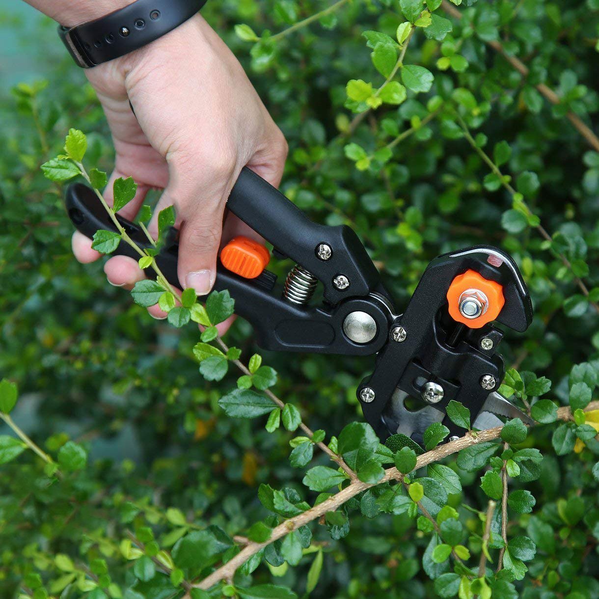 Flash Sale- Professional Nursery Grafting Tool