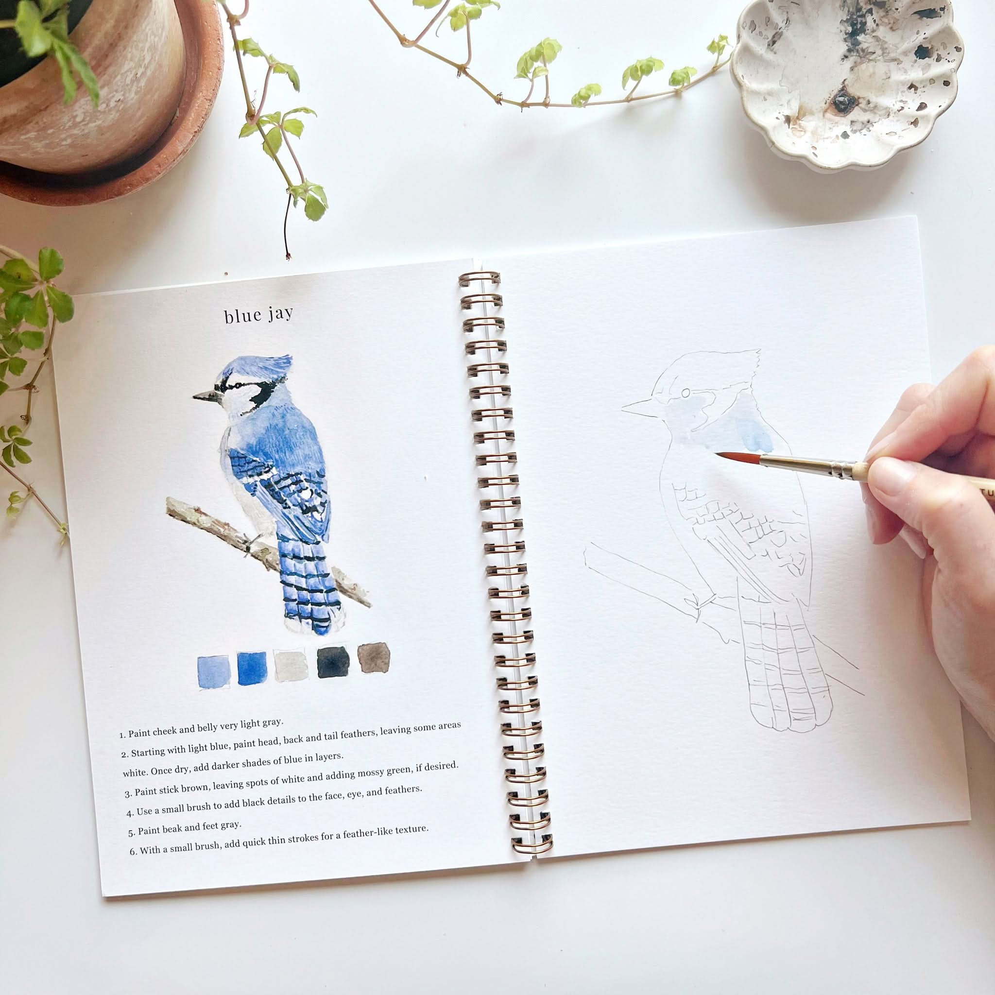 🦜Birds Watercolor Workbook