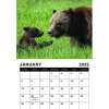 Remembering Grizzly 399 Calendar