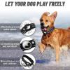 🔥Last Day Promotion- SAVE 70% OFF📲Stay Connected: AirTag Collar-BUY 2 FREE SHIPPING