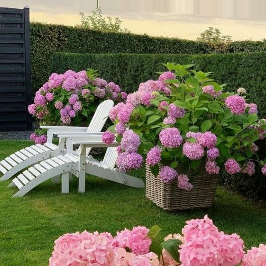 🔥Last Day Sale - 60% OFF💐Outdoor Artificial Hydrangea Flowers