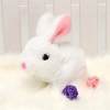 Bunny Toys Educational Interactive Toys Bunnies Can Walk and Talk - BUY 2 FREE SHIPPING