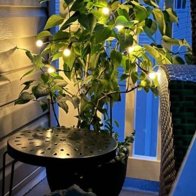 (🔥Christmas Sale- SAVE 49% OFF) 🧚Dancing Firefly Solar Garden Lights