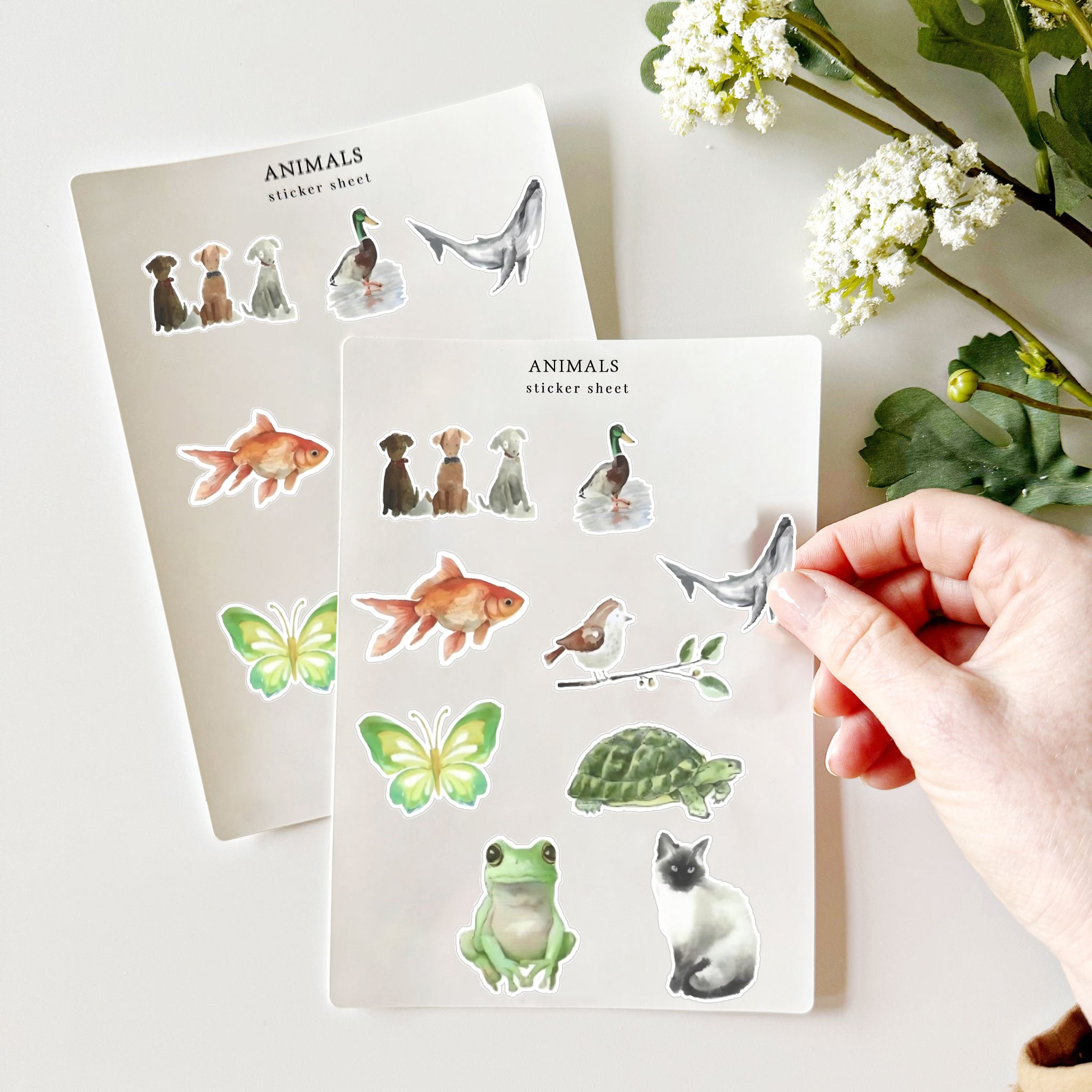 𝙊𝙏𝙀𝙃® Animal sticker sheets
