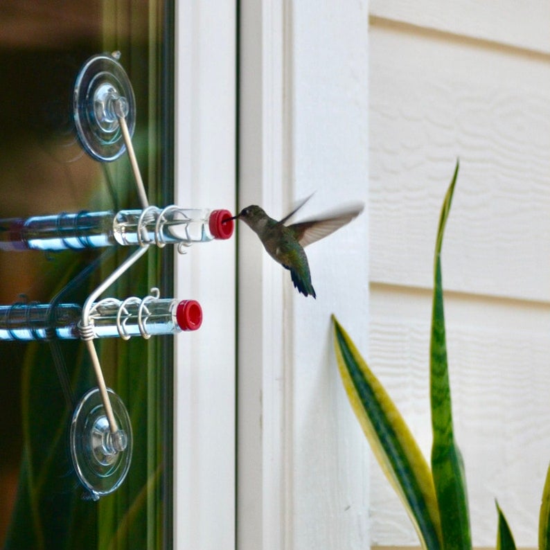 ⚡Clearance Sale SALE 70%🔥Geometric Window Hummingbird Feeder🐦