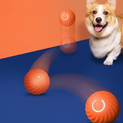 🔥Chewie Viral Hüpfball