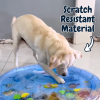 Pet Cooling Water Bed