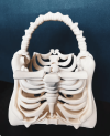 Skeleton Bone Bag - Gothic - Halloween bone purse spooky ribcage bag