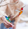 (🔥Last Day Promotion 50% OFF) Hummingbird Suncatcher Window Hangings