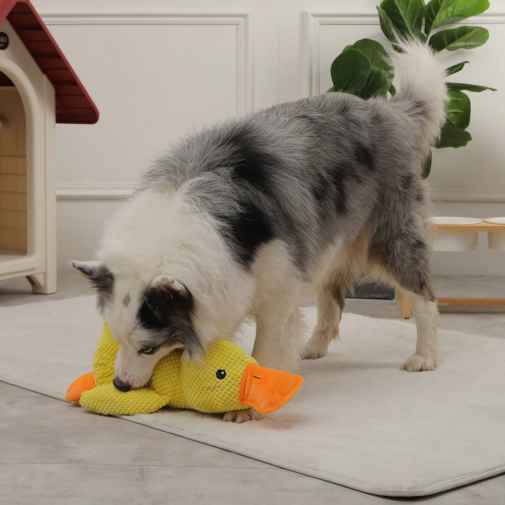 (🎄EARLY CHRISTMAS SALE - 50% OFF) 🎁Quack-Quack Duck Dog Toy