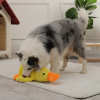 TikTok Last Day Promotion -60% OFF🎉Quack-Quack Duck Dog Toy