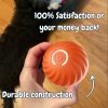 (🔥Last Day Promotions - 49% OFF) 🐶Viral Bouncing Ball