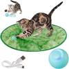 Buy 2 Free Shipping🔥Interactive Cat Hunting Toy