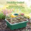 🔥Last Day Promotion 50% OFF🔥Seed Starter Trays with Grow Light