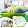 🔥Last Day Promotion 70% OFF🔥Pull-Out External Parrot Feeder⚡️Buy 2 Free Shipping
