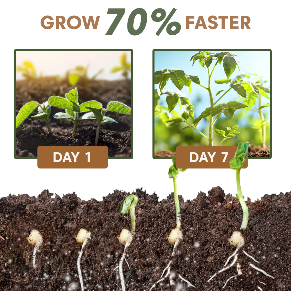🎁Last Day Promotion- SAVE 70%🔥RootBoost Nutrient Powder