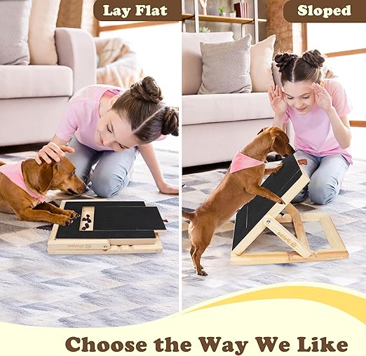 🐾Dog Nail Care Board