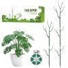⏰LAST DAY SALE 50% OFF💥5 pack Plant Support Stakes⚡Buy 2 Free Shipping