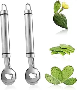 🎁TikTok Last Day Sale - 70% OFF🎉Cactus Peeler Spoon 🌵- Essential Tools for Cactus Lovers🔥
