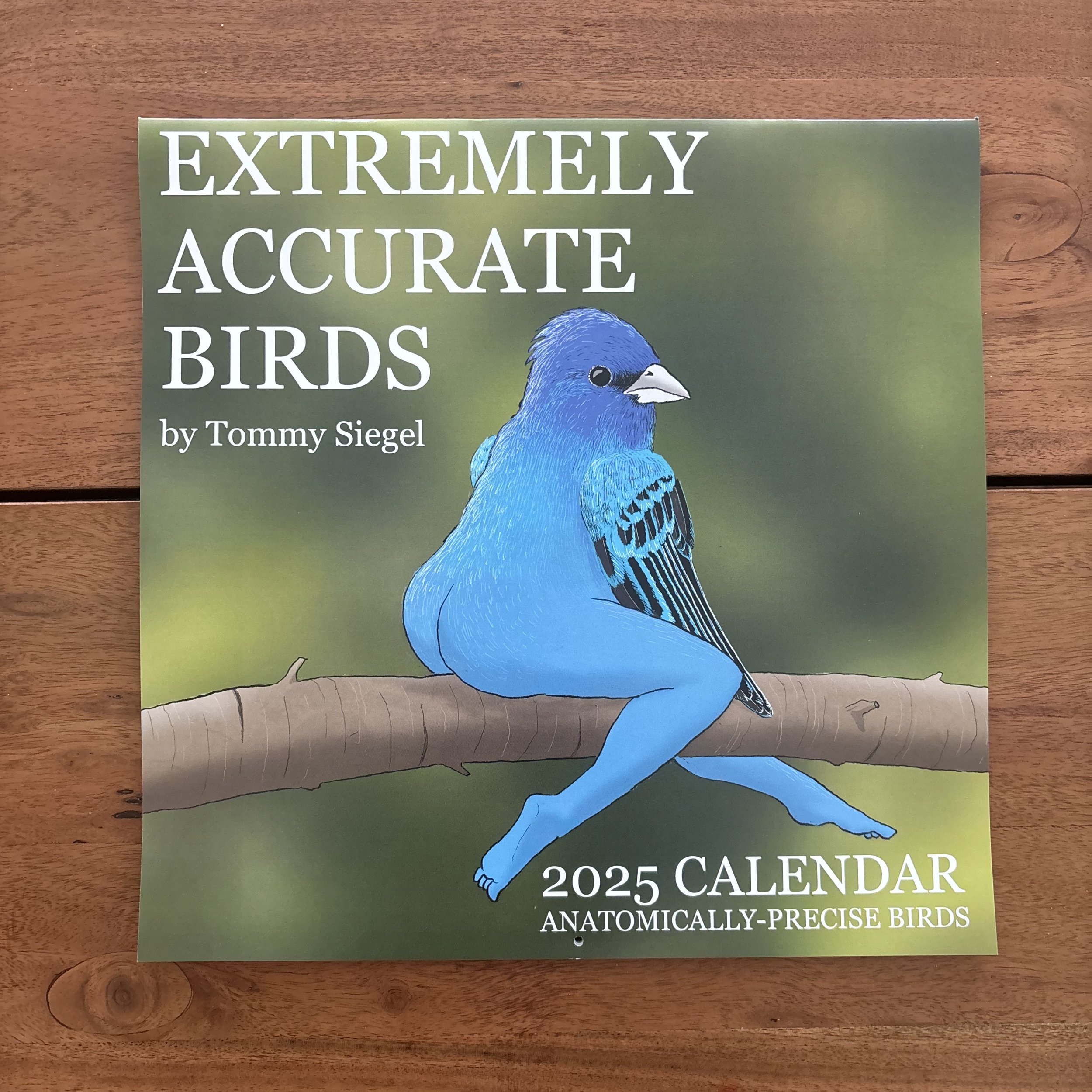 📅2025 Calendar of Extremely Accurate Birds🐦