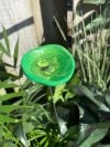 🎖️July 4th Flash Sale: 50% OFF Sitewide! 🐝Bee Watering Station,🦋Butterfly Puddler,Hummingbird Drinking Cups