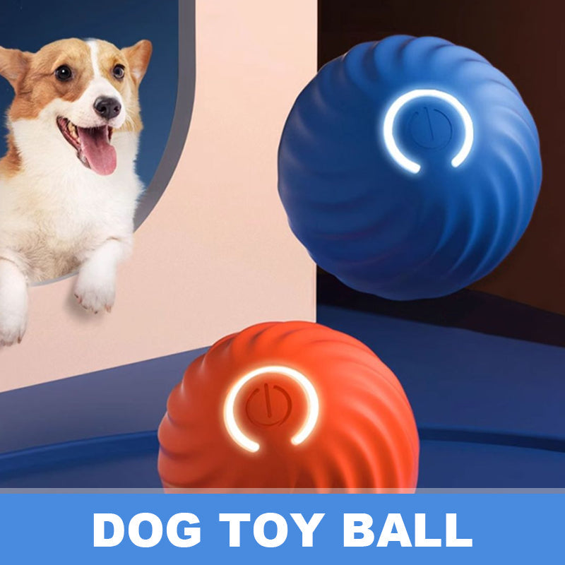 🔥New Year Promotion 48% OFF🐶😺Automatic Rolling Ball Pet Toy🎁Buy 2 Free Shipping