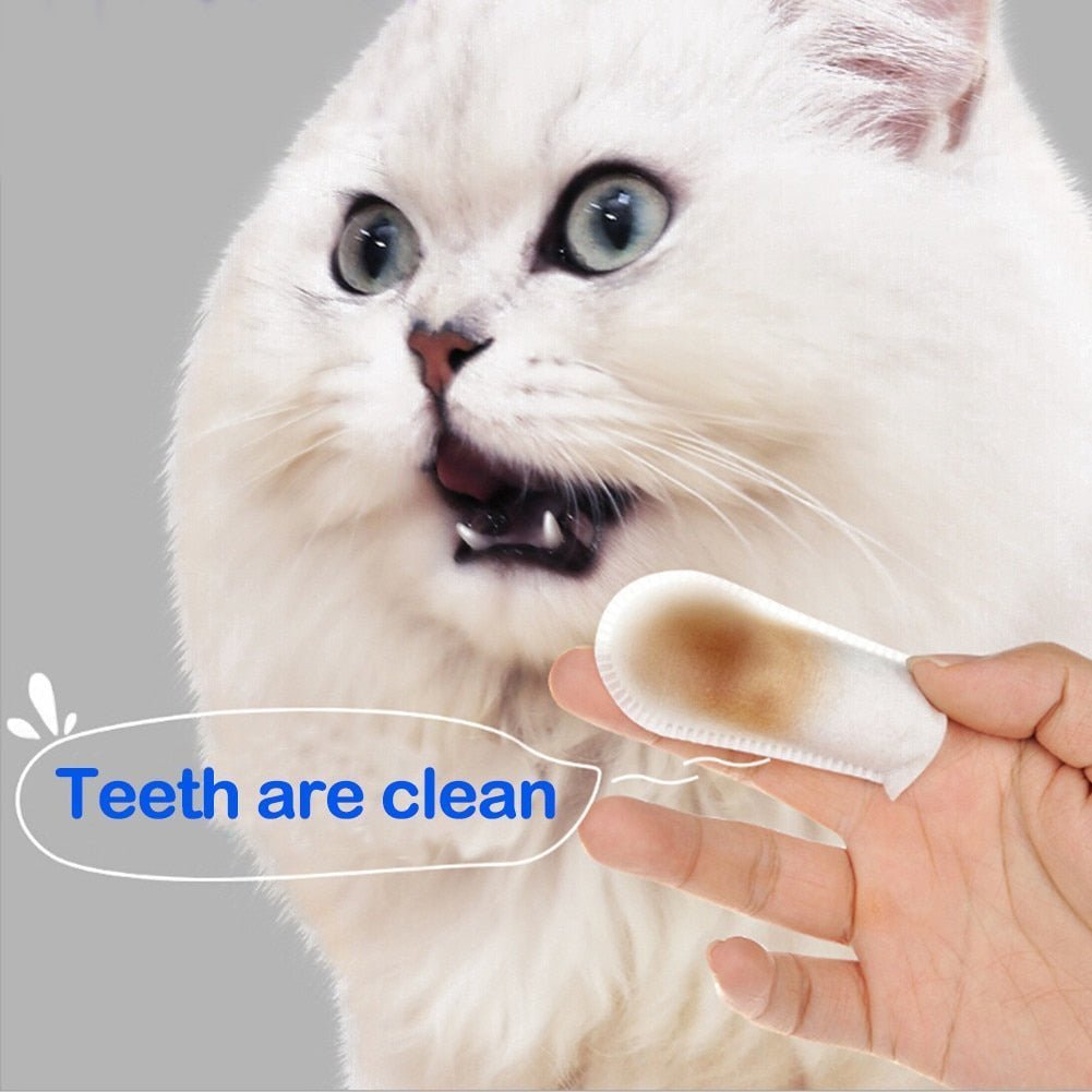 ✨2023 New Sales-50% OFF✨Pet Dental Cleaning finger Wipes