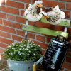 🐔Funny Chicken Garden Fence Decoration🐔