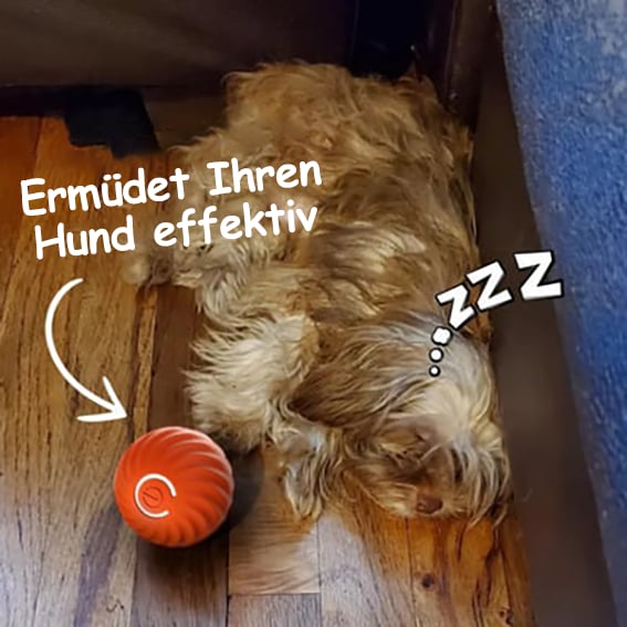 🔥Chewie Viral Hüpfball