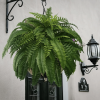 ✨This Week's Special Price $19.98💥UV Resistant Lifelike Artificial Boston Fern