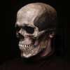 Last Day Promotion 70% OFF - 🔥Full Skull Mask💀