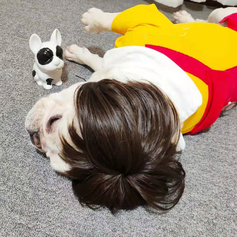 🔥Last Day Promotion - 60% OFF🎁🐕🐱Pet Wigs Cosplay Props