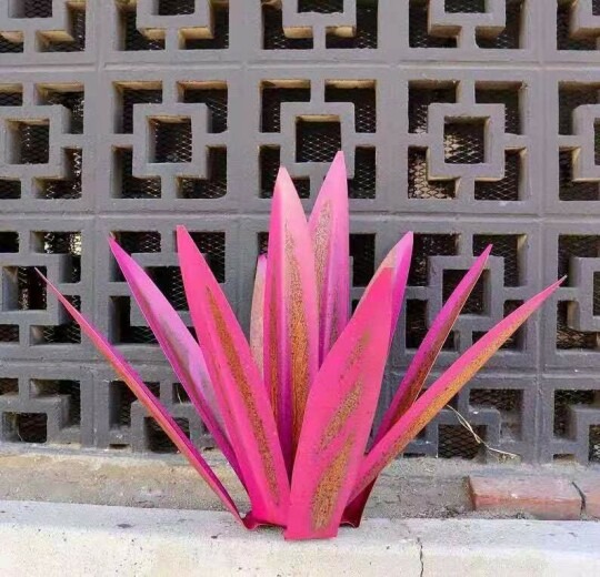 (❤️Mother's Day Flash Sale - 50% OFF)Red Tequila Agave-Perfect for garden decoration ，Buy 2 Get Extra 10% OFF