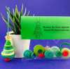 🔥Kaufe 3 Erhalte 1☃️DIY-Knopf-Schneemann-Ornament-Kit