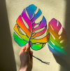 💕Handmade Butterfly Sun Catcher