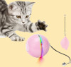 Buy 2 Free Shipping❤️Automatic LED Intelligent Cat Ball