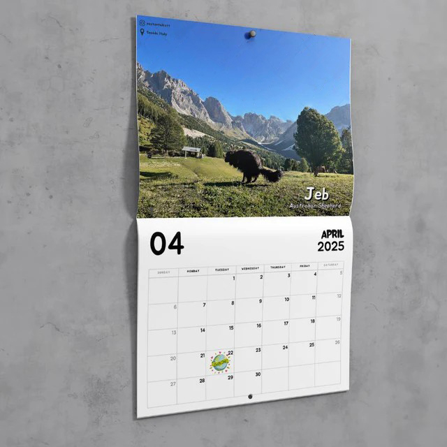 😆Dogs Pooping in Beautiful Places™ 2025 Calendar