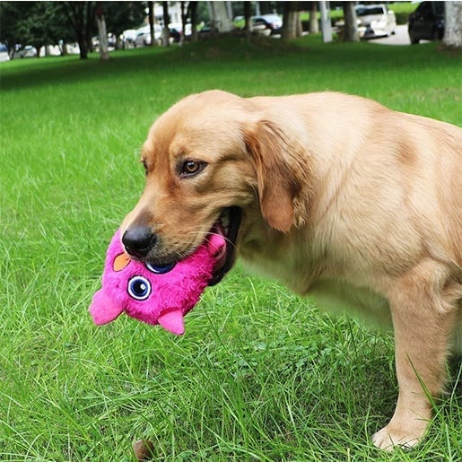 🔥Last Day Promotion 70% OFF🔥Monster DogActive Ball