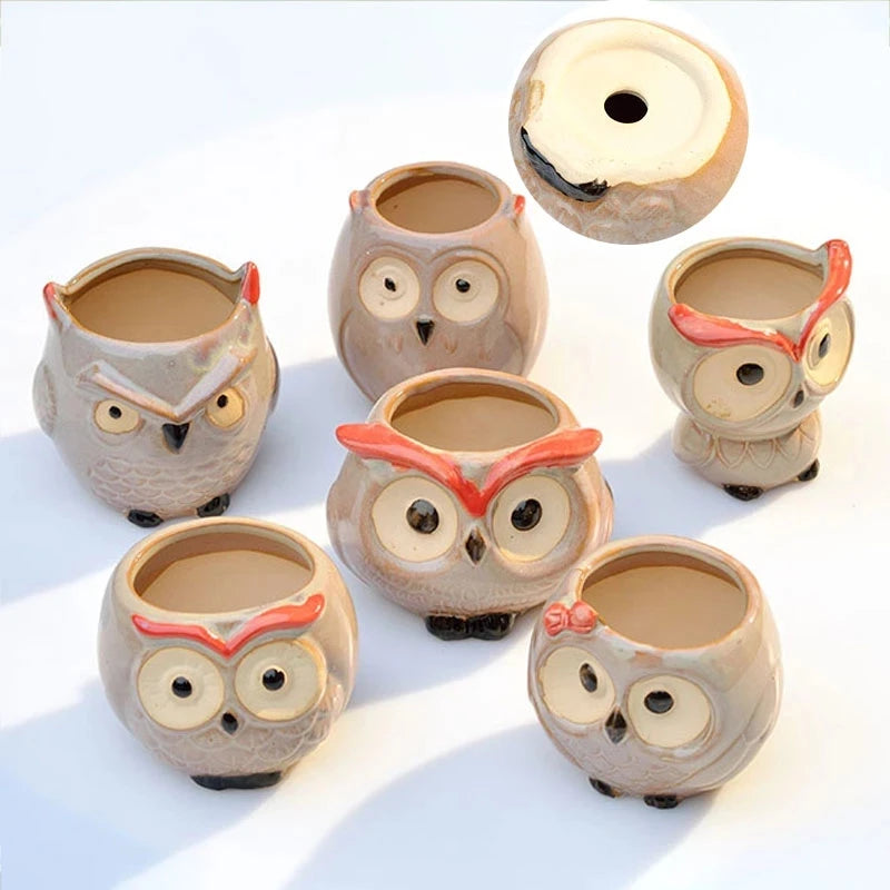 Cute Owl Ceramic Succulent Planter Pot- Buy 2 Free Shipping