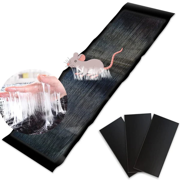 💥Limited Time 70% OFF🔥Large Sticky Mouse Trap