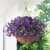 💖Last Day 49% OFF - UV Simulation Artificial Petunias