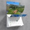 Funny Calendar Gift - 💩🐶 Dogs Pooping In Beautiful Places 2024 Calendar