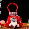 🎅Early Christmas Sales 49% OFF🎄Christmas Gift Doll Bags