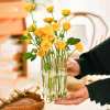 TikTok Last Day Promotion -60% OFF🎉Hinged Flower Vase🌷